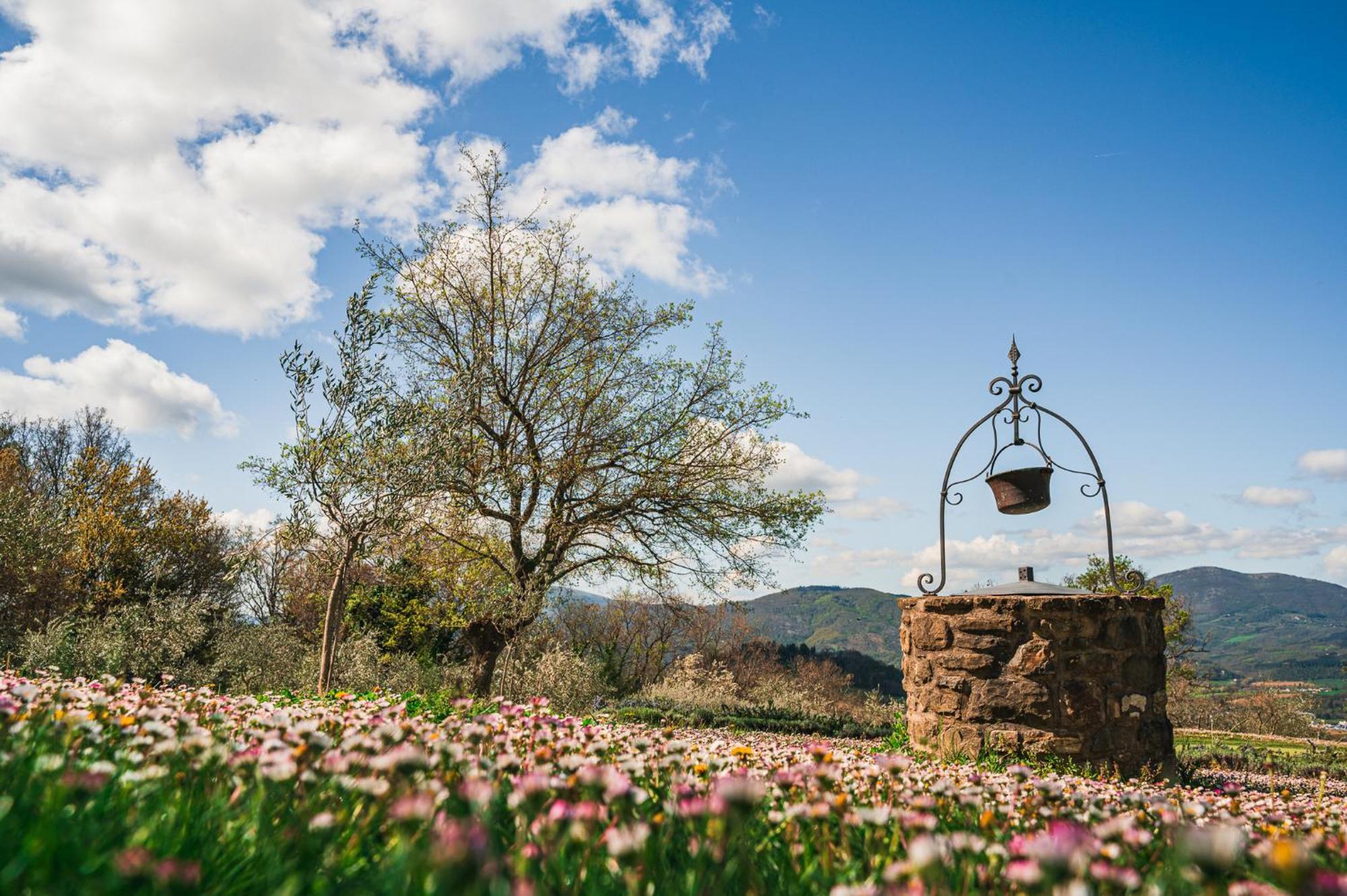 Nikis Resort Gubbio Eksteriør bilde